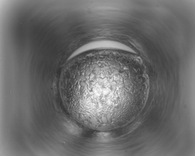 X0000068840265200605081247