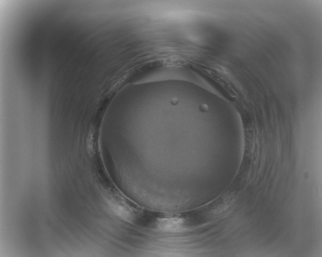 X0000068840266200605081247