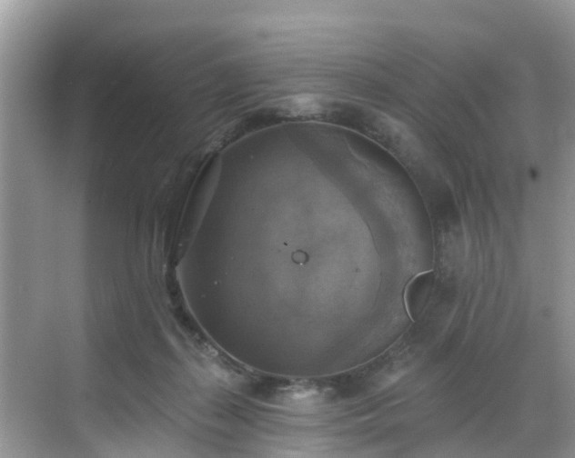 X0000068840267200605081247