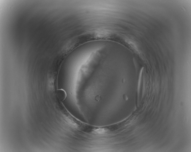 X0000068840269200605081247