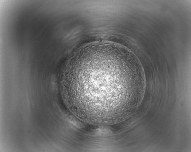 X0000068840270200605081247