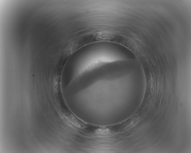 X0000068840271200605081247