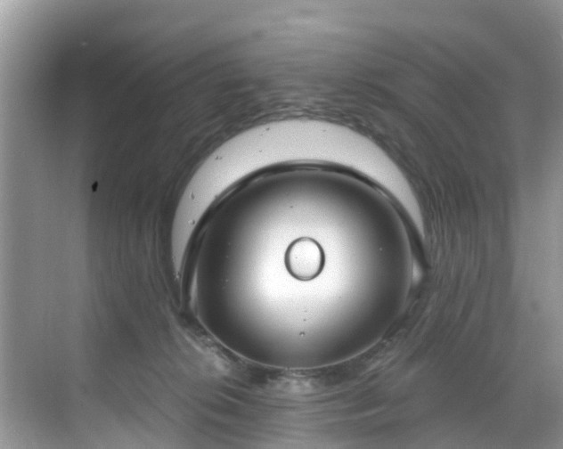 X0000068840276200605081247