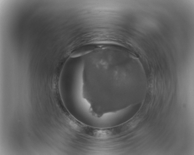 X0000068840277200605081247