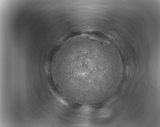 X0000068840280200605081247