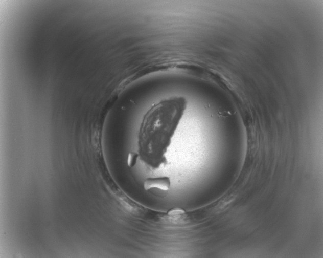 X0000068840281200605081247