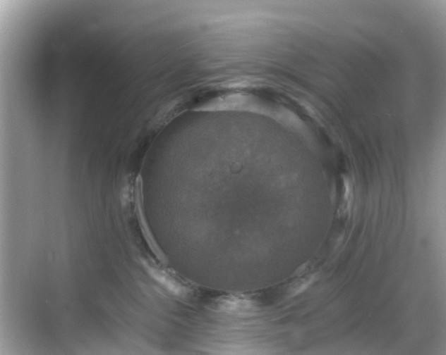 X0000068840284200605081247