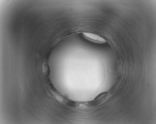 X0000068840285200605081247