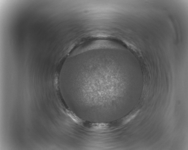 X0000068840288200605081247