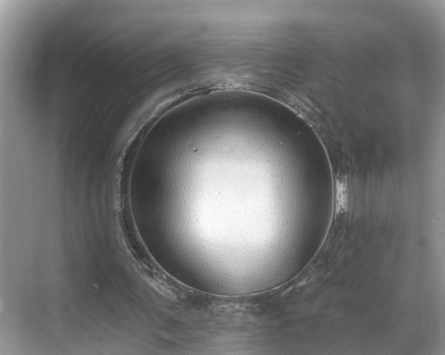 X0000068840291200605081246