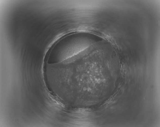 X0000068840292200605081246