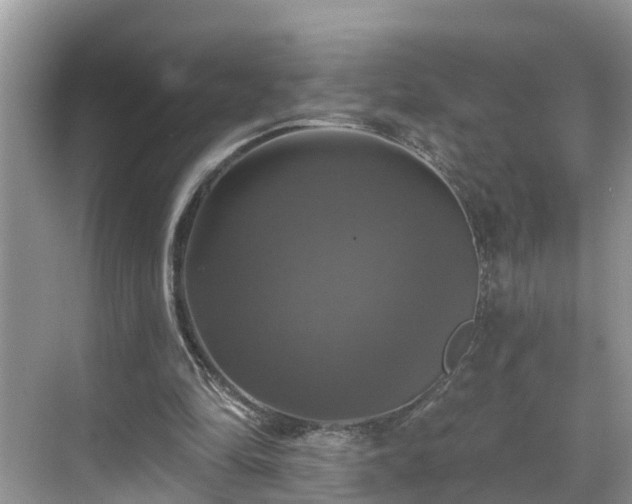 X0000068840294200605081246