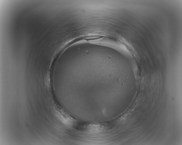 X0000068840298200605081246