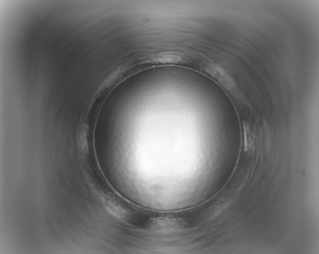 X0000068840300200605081246