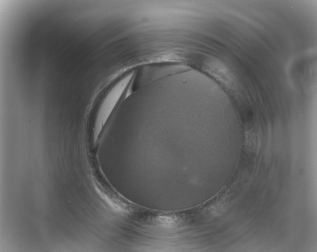 X0000068840302200605081246