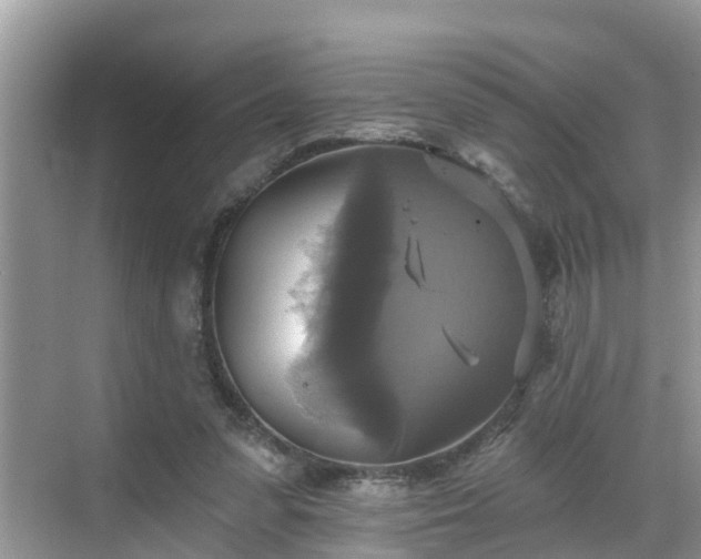 X0000068840303200605081246