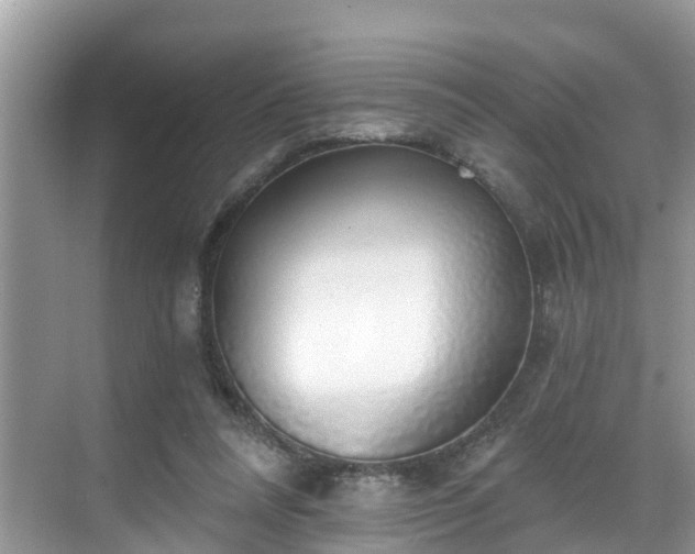 X0000068840304200605081246