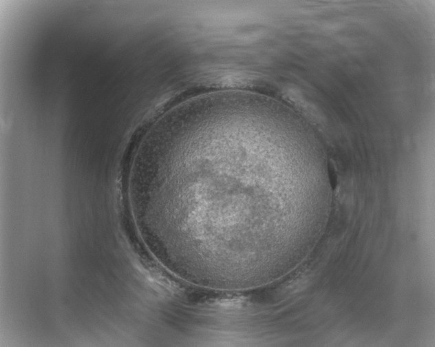 X0000068840306200605081246