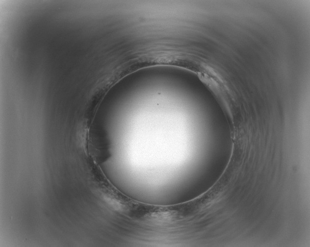 X0000068840307200605081246