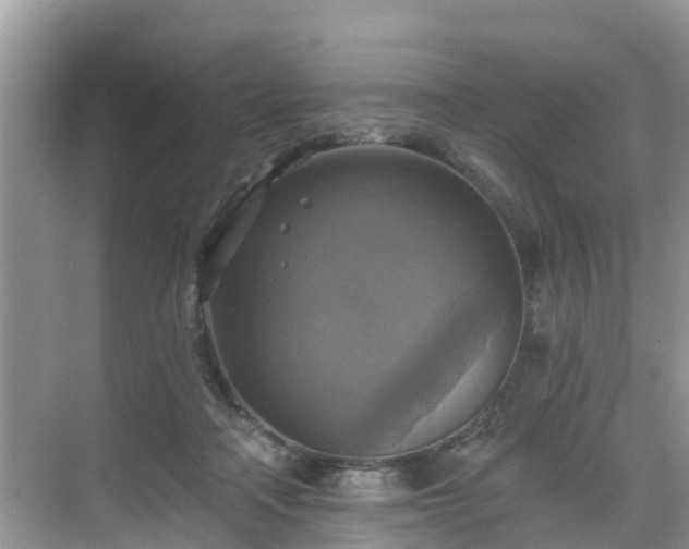 X0000068840314200605081246