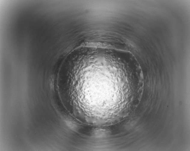 X0000068840315200605081246