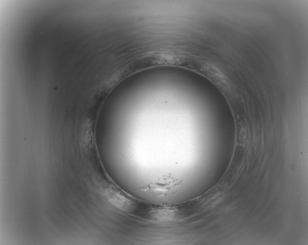 X0000068840318200605081246