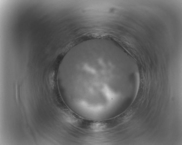 X0000068840319200605081246