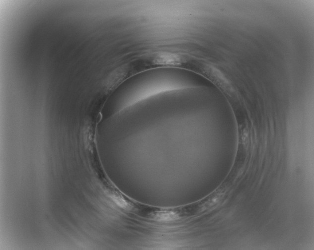 X0000068840322200605081246