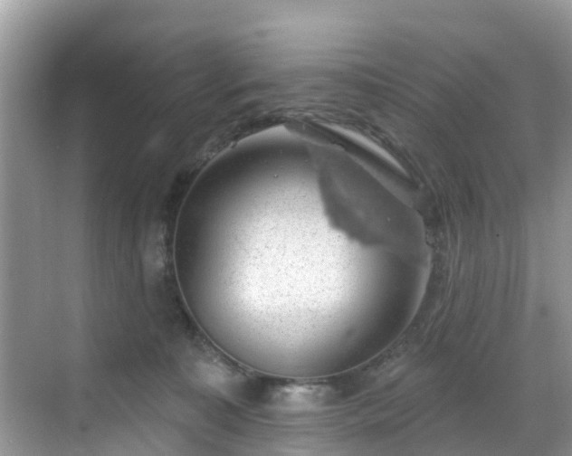 X0000068840323200605081246