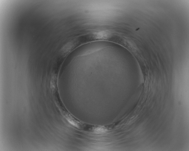 X0000068840325200605081246