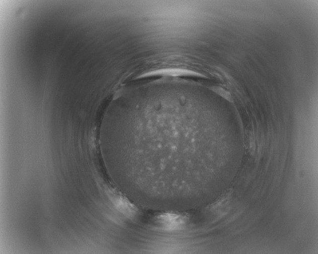 X0000068840326200605081246