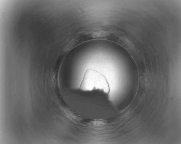 X0000068840327200605081246