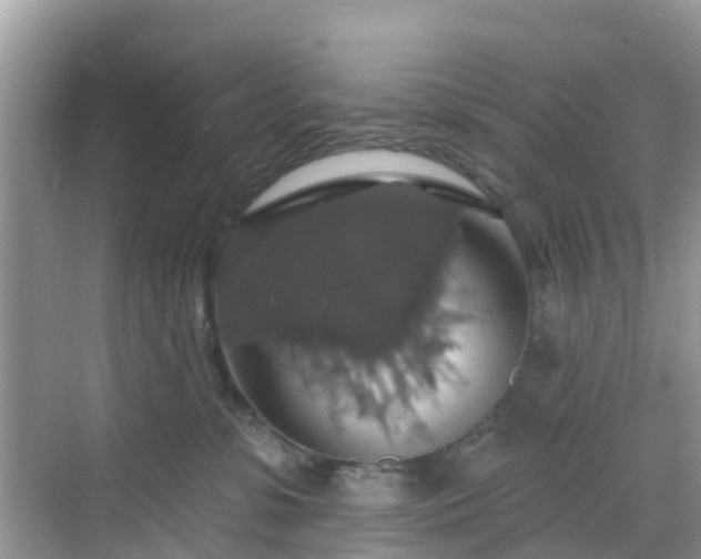 X0000068840331200605081246