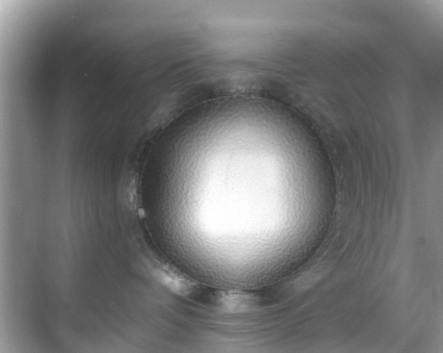 X0000068840336200605081246