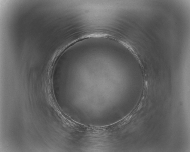 X0000068840337200605081245