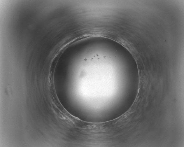 X0000068840338200605081245