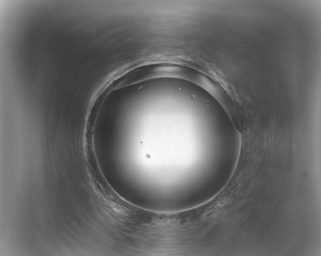 X0000068840340200605081245