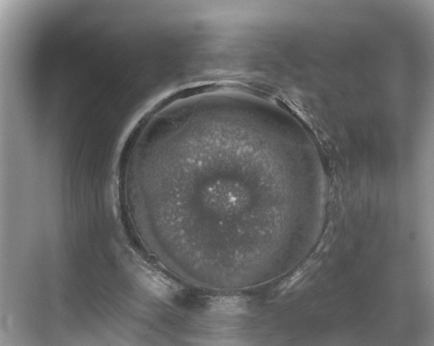 X0000068840342200605081245