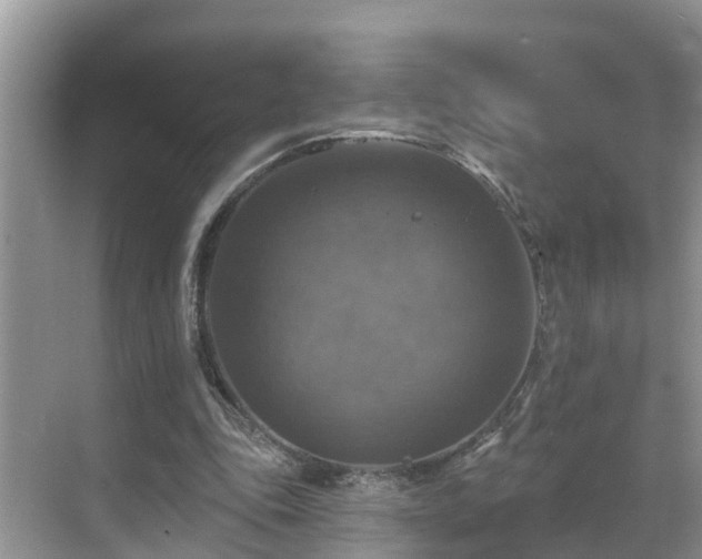 X0000068840343200605081245