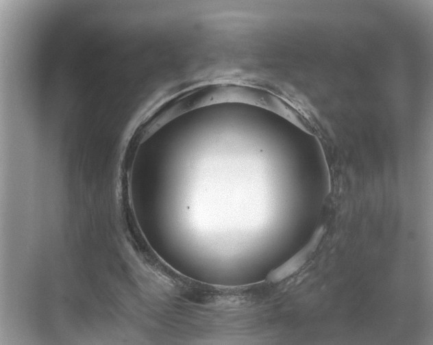 X0000068840344200605081245