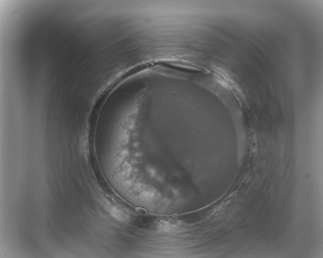 X0000068840346200605081245