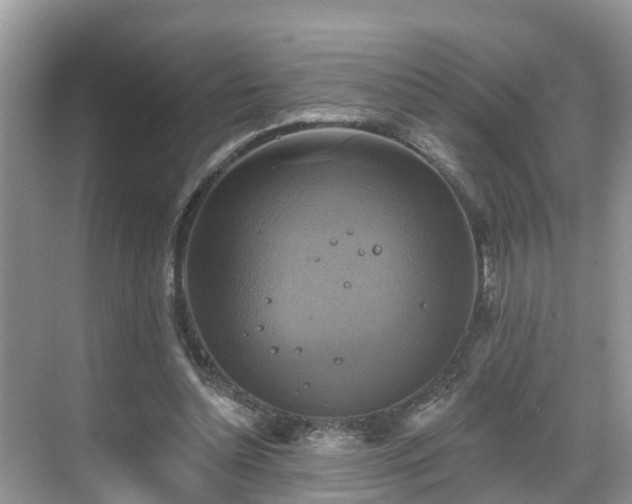 X0000068840348200605081245