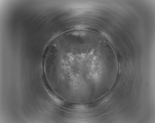 X0000068840349200605081245