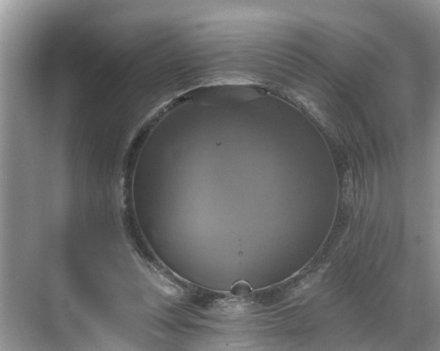 X0000068840351200605081245