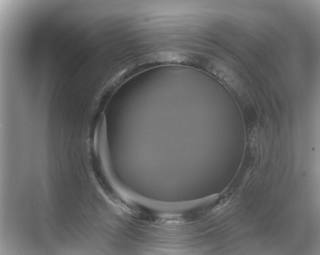 X0000068840352200605081245