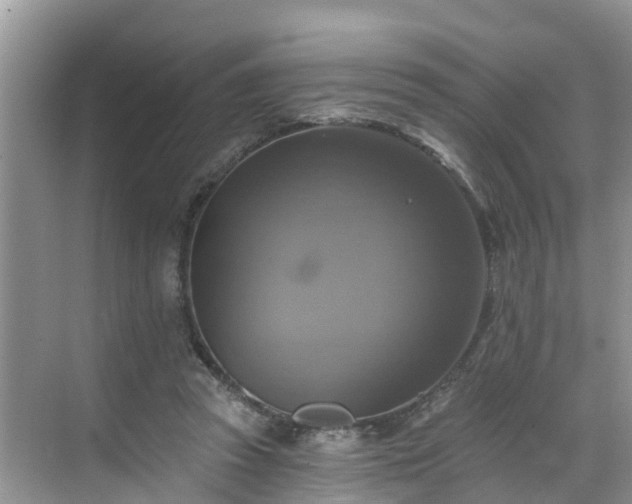 X0000068840353200605081245