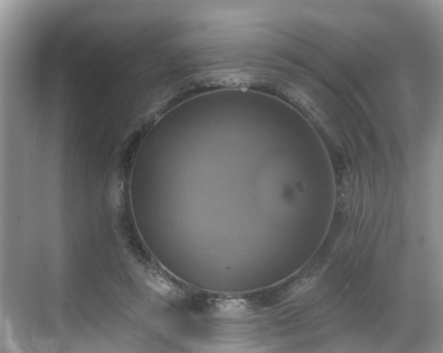 X0000068840355200605081245