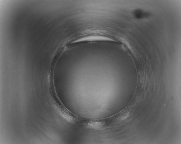 X0000068840357200605081245