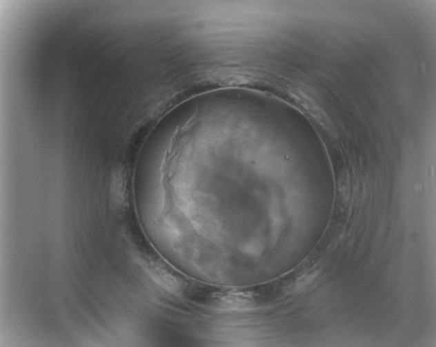 X0000068840359200605081245