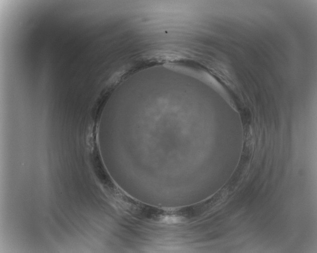 X0000068840360200605081245